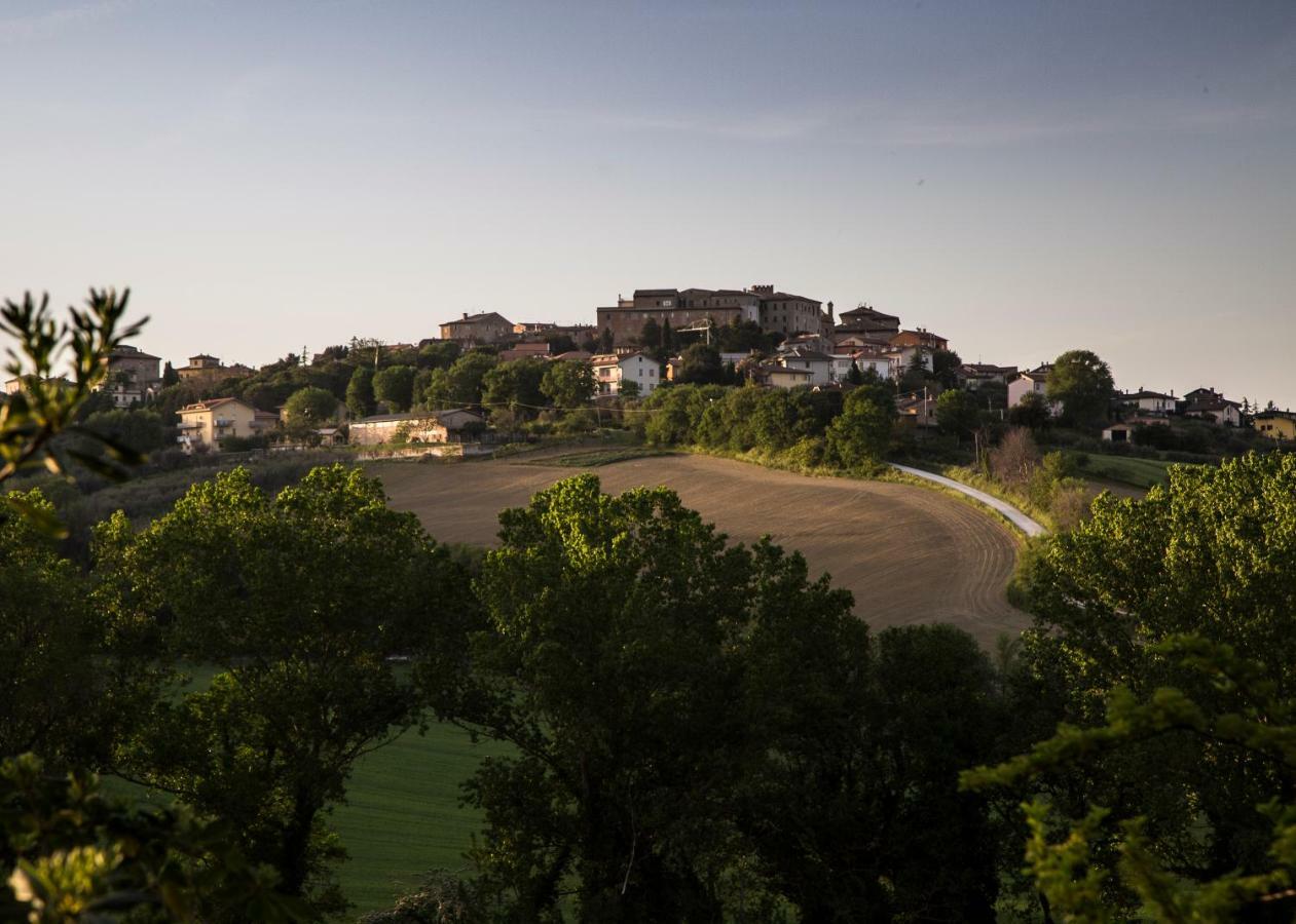 Grande Villa Storica Per Vacanze Con Giardino Privato E Piscina Ostra Bagian luar foto