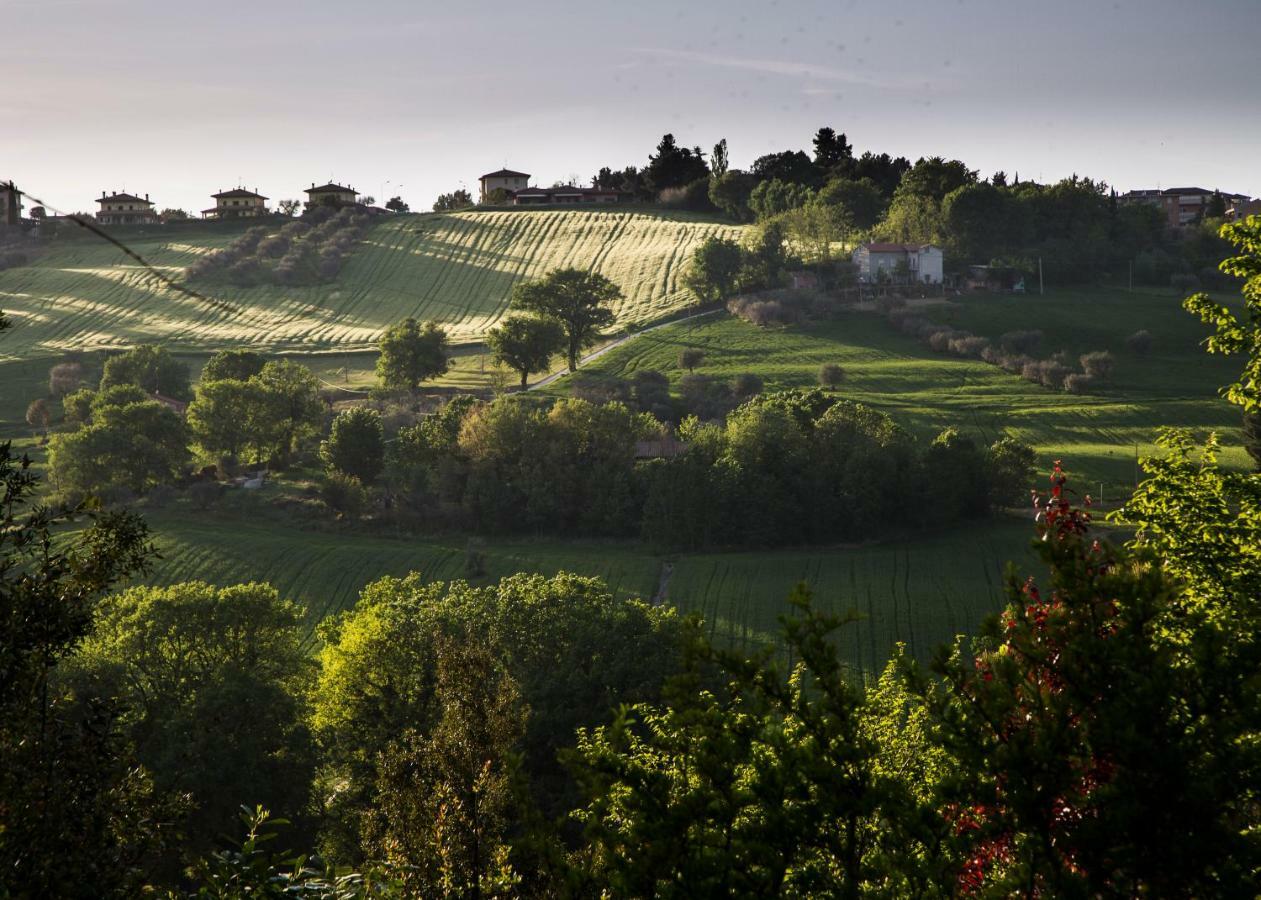 Grande Villa Storica Per Vacanze Con Giardino Privato E Piscina Ostra Bagian luar foto