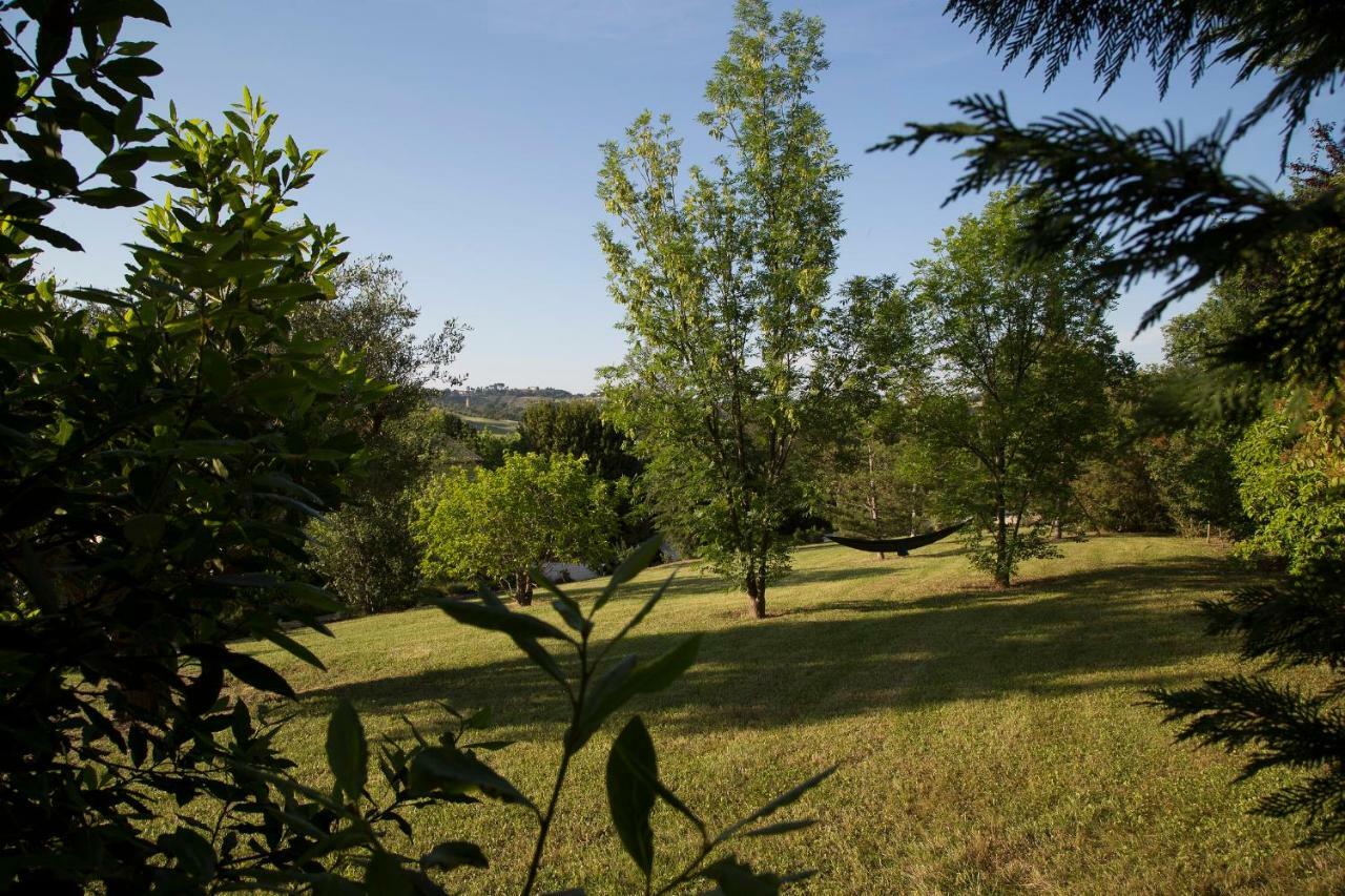 Grande Villa Storica Per Vacanze Con Giardino Privato E Piscina Ostra Bagian luar foto