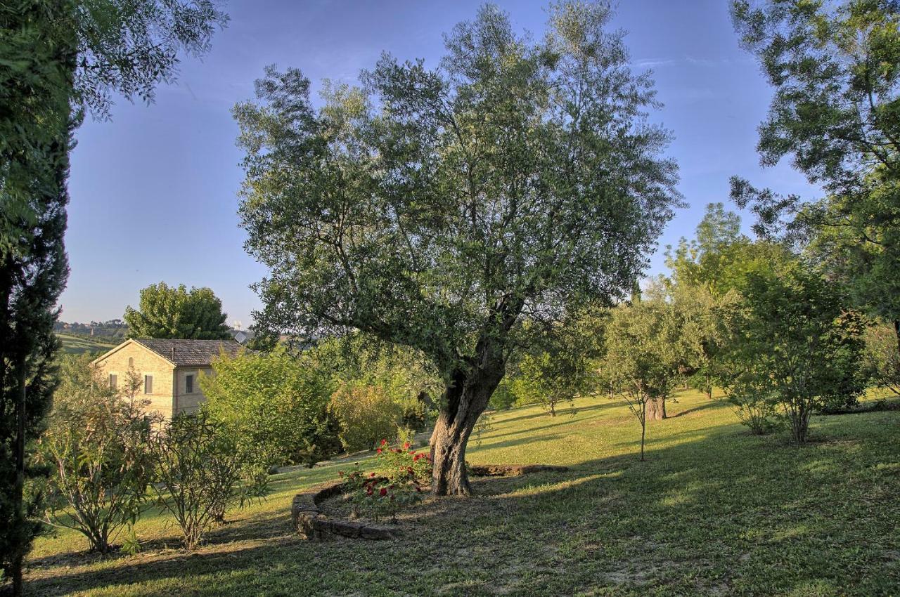 Grande Villa Storica Per Vacanze Con Giardino Privato E Piscina Ostra Bagian luar foto