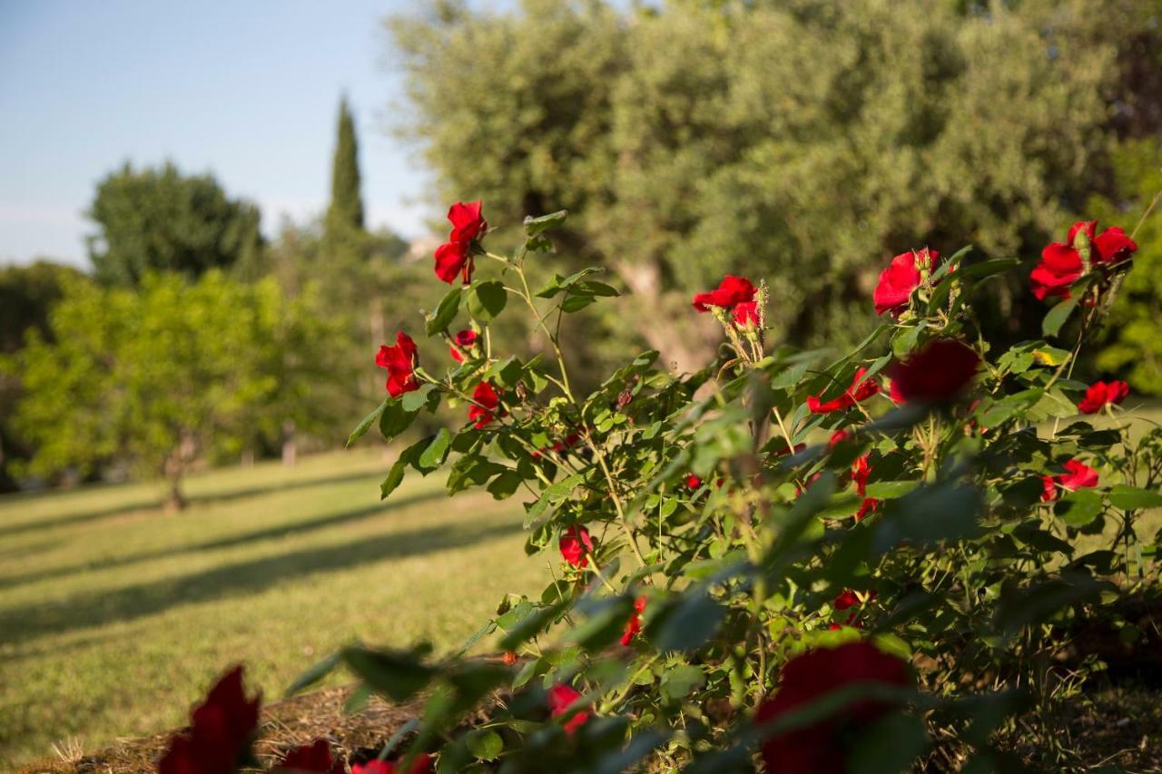 Grande Villa Storica Per Vacanze Con Giardino Privato E Piscina Ostra Bagian luar foto